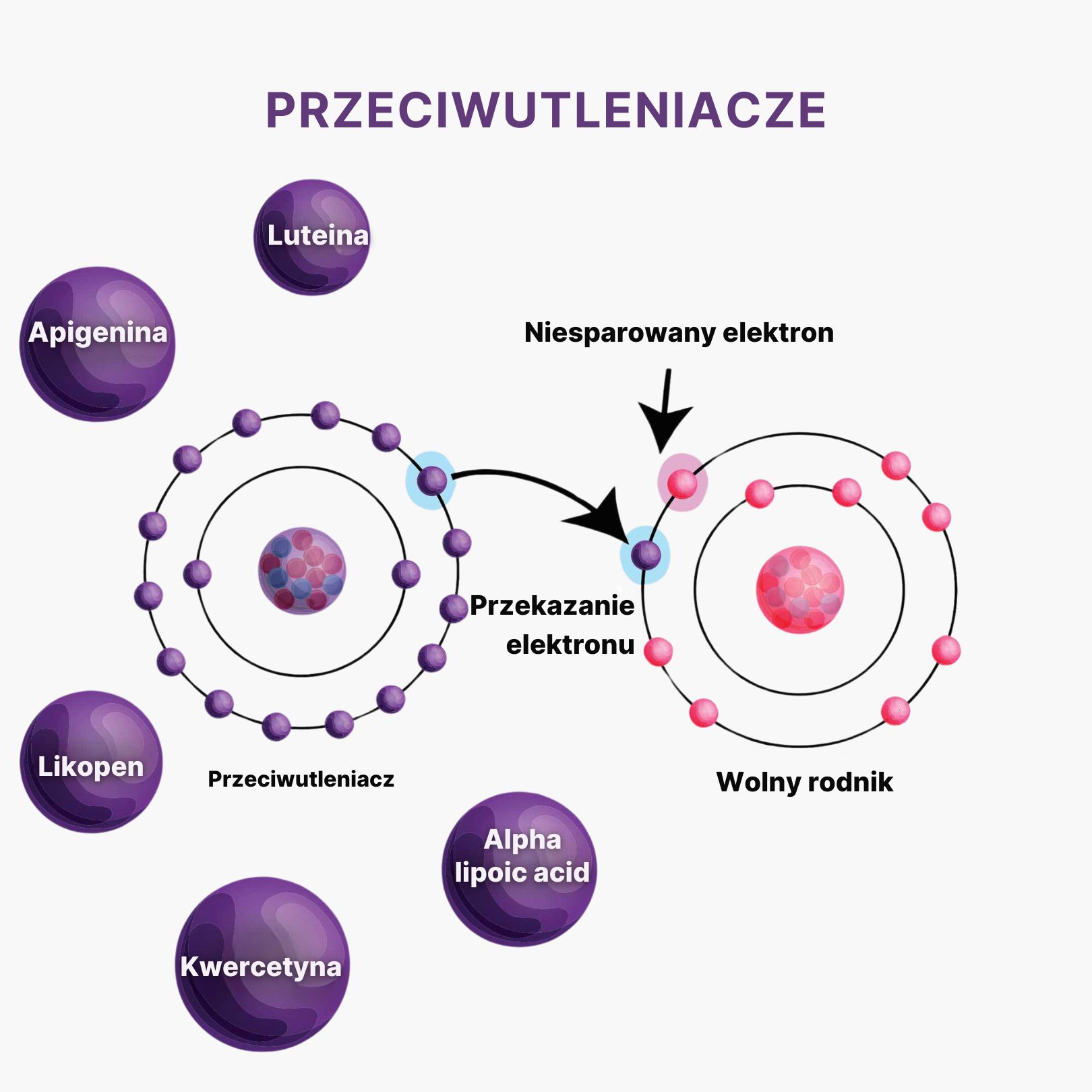 (Polština) - 2024-07-23T114628.703